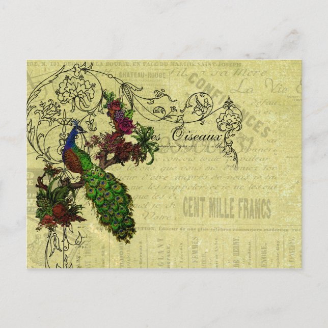 Vintage Peacock on Branch Apparel and Gifts Postcard (Front)