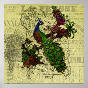 Vintage Peacock on Branch Apparel and Gifts Poster