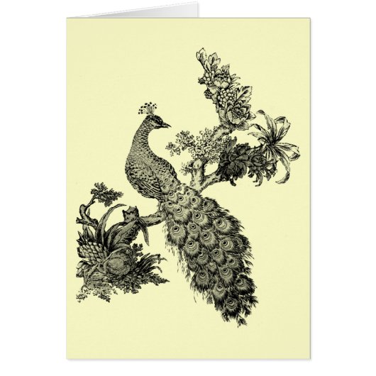 Vintage Peacock on Branch T-shirts and Gifts (Front)