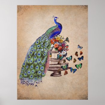 Vintage Peacock On Cage Poster by BluePress at Zazzle