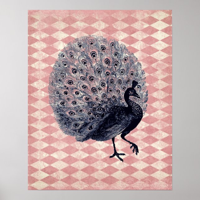 Vintage Peacock on Pink Argyle Poster (Front)