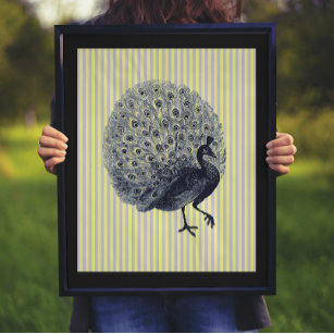 Vintage Peacock Dictionary Page Print, Peacock Feather Decor