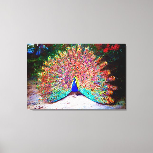 Vintage Peacock Painting Canvas Print (Front)