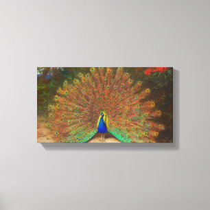 Vintage Peacock Painting Canvas Print
