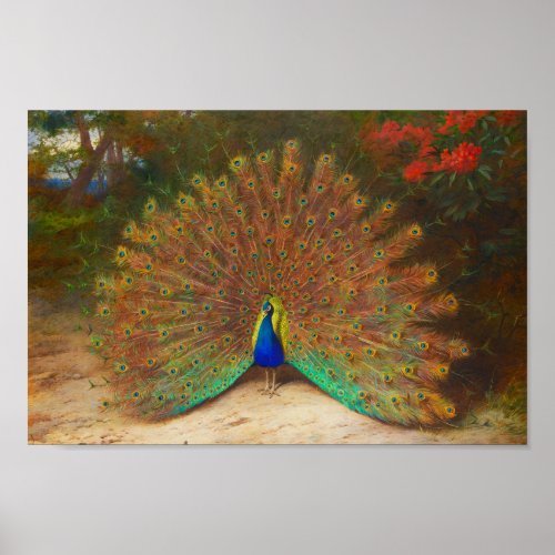 Vintage Peacock Painting Poster