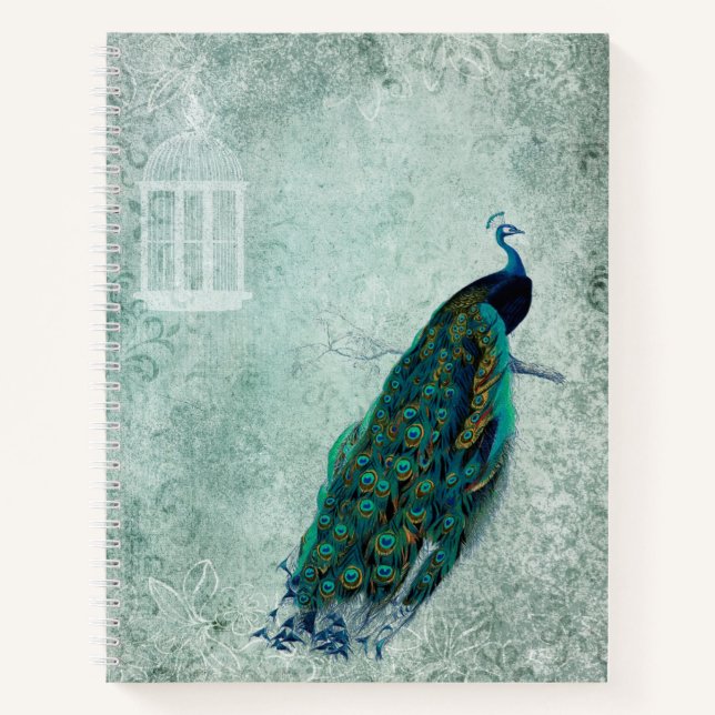 Vintage Peacock Sketchbook Notebook (Front)