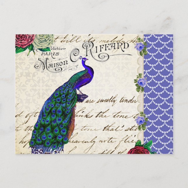 Vintage Peacock Song Collage Postcard (Front)