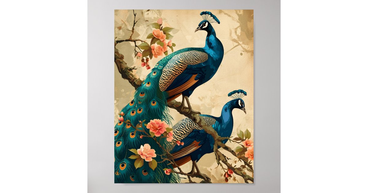 Vintage Peacock Splendor Poster | Zazzle