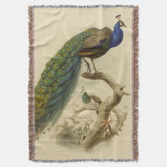 Vintage Peacock Throw Blanket (Front Vertical)