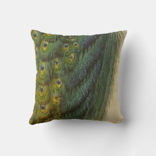 Vintage Peacock Throw Pillow Zazzle