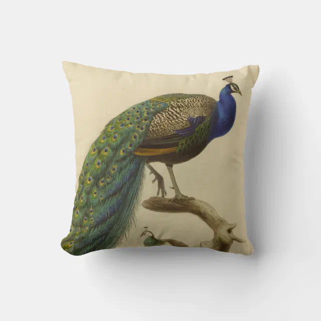 Vintage Peacock Throw Pillow Zazzle