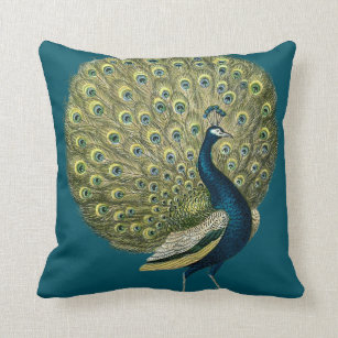 Peacock Pillows Decorative Throw Pillows Zazzle