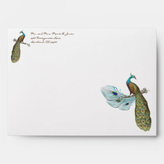Vintage Peacock Wedding Envelopes