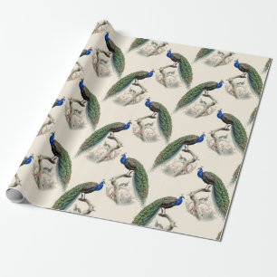 Vintage Peacock Wrapping Paper