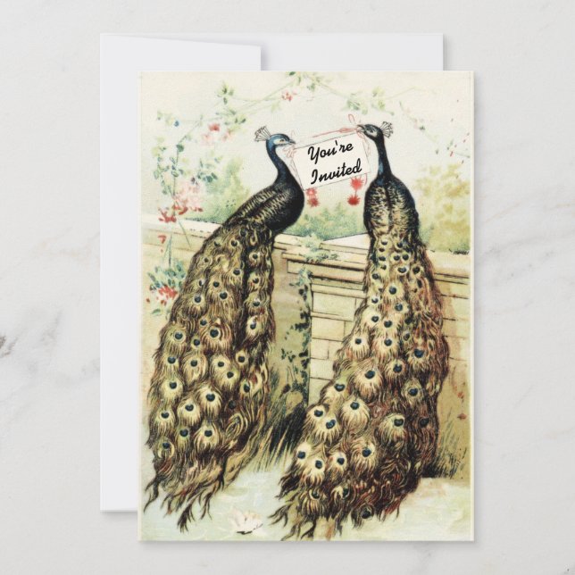 Vintage Peacocks Bridal Tea Invitation (Front)