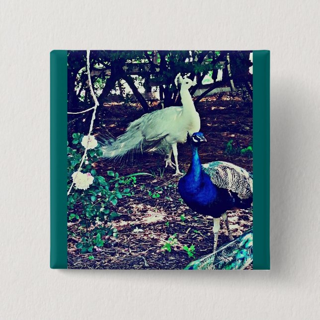 Vintage Peacocks Pinback Button (Front)