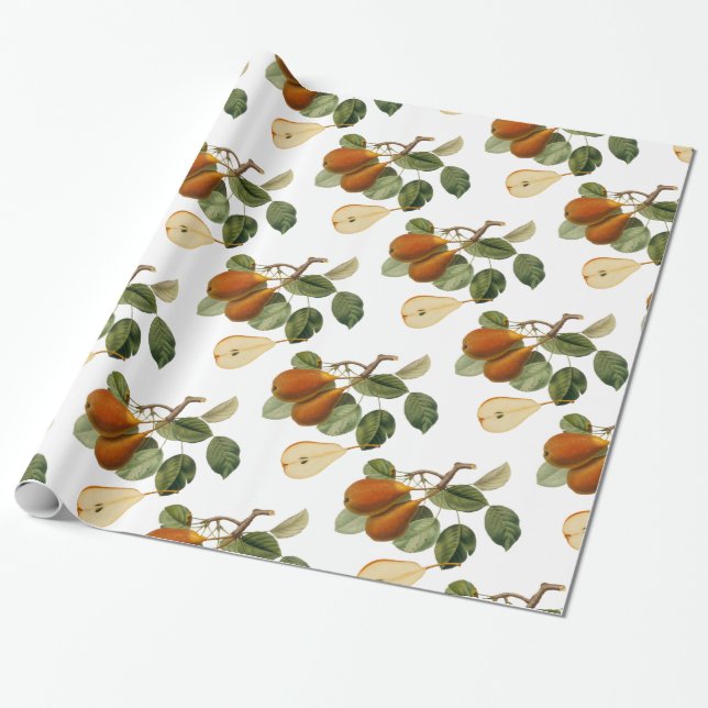 Vintage Pear Botanical Illustration Wrapping Paper (Unrolled)