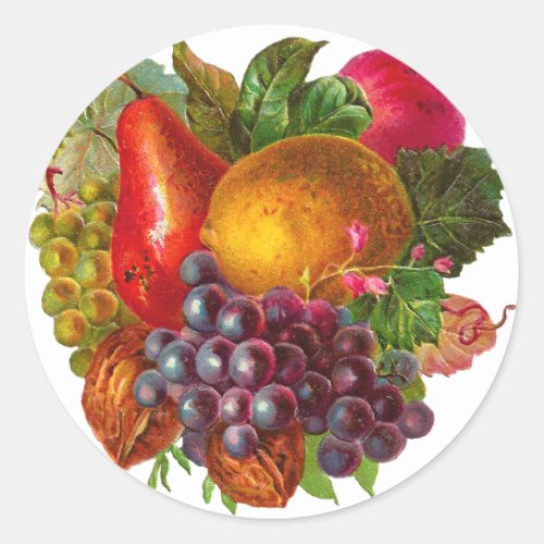 Vintage Pear Grape Lemon Apple and Walnuts Classic Round Sticker