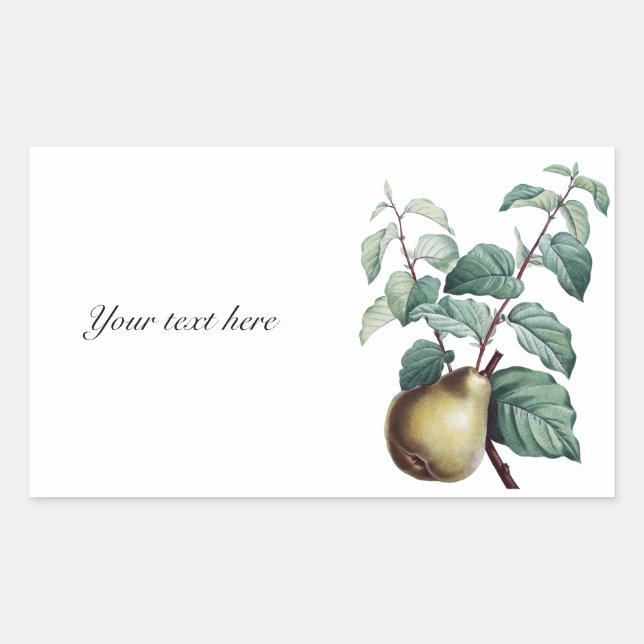 Vintage Pear Rectangular Sticker (Front)
