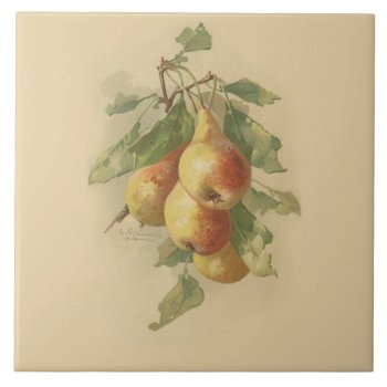Vintage Pears Ceramic Tile by Past_Impressions at Zazzle