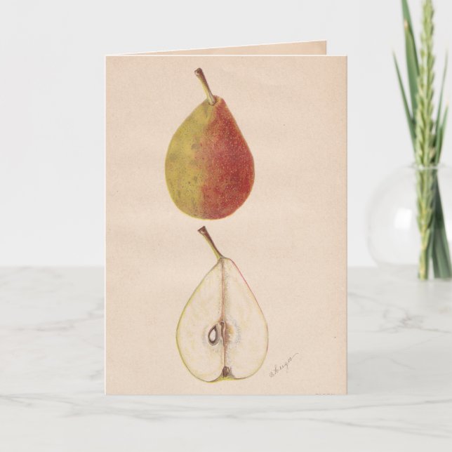 Vintage Pears Greeting Card (Front)