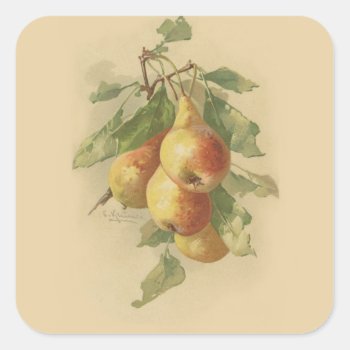 Vintage Pears Square Sticker by Past_Impressions at Zazzle
