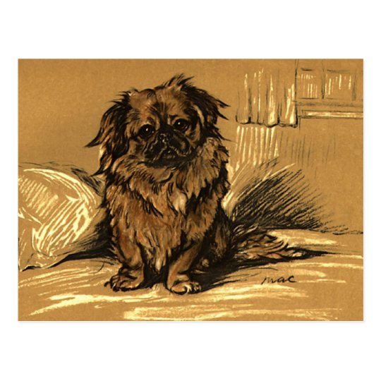 Vintage Pekingeses Postcard