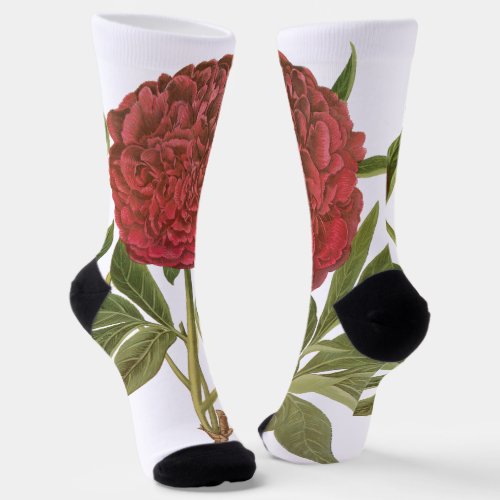 Vintage Peonies, Peony Flowers by Basilius Besler Socks