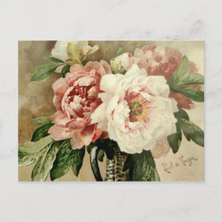 Vintage Peonies Postcard
