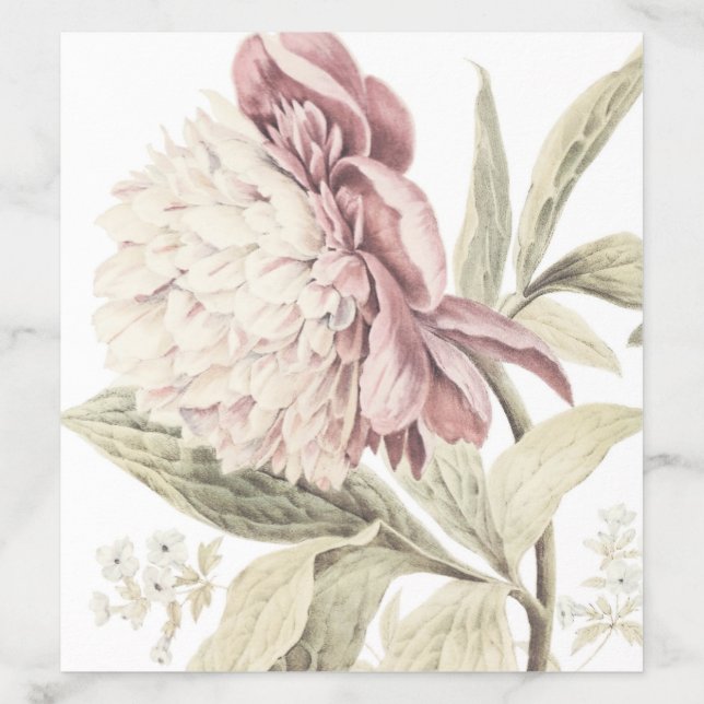 Vintage Peony Botanical Fine Art Wedding  Envelope Liner (Design)
