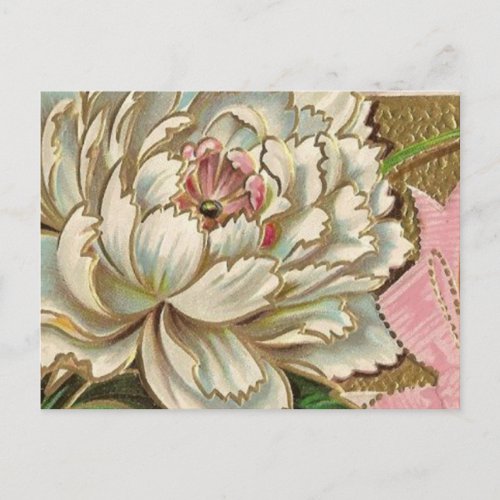 Vintage Peony Flower Postcard