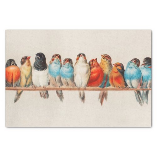 Vintage Perch of Birds watercolor Wildlife nature Tissue Paper