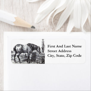 Vintage Percheron Horse Black and White Drawing Label