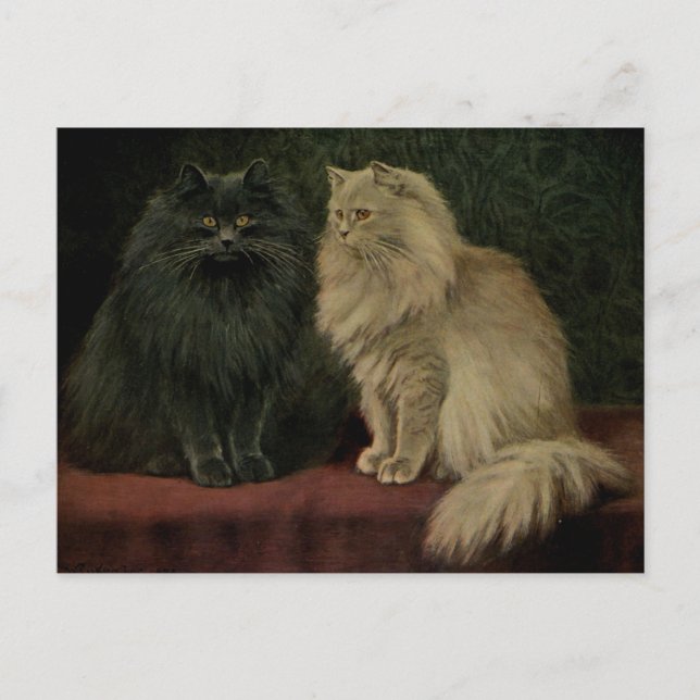 Vintage Persian Cat Postcard (Front)