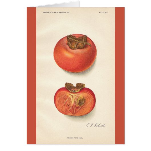 Vintage Persimmon Card (Front)