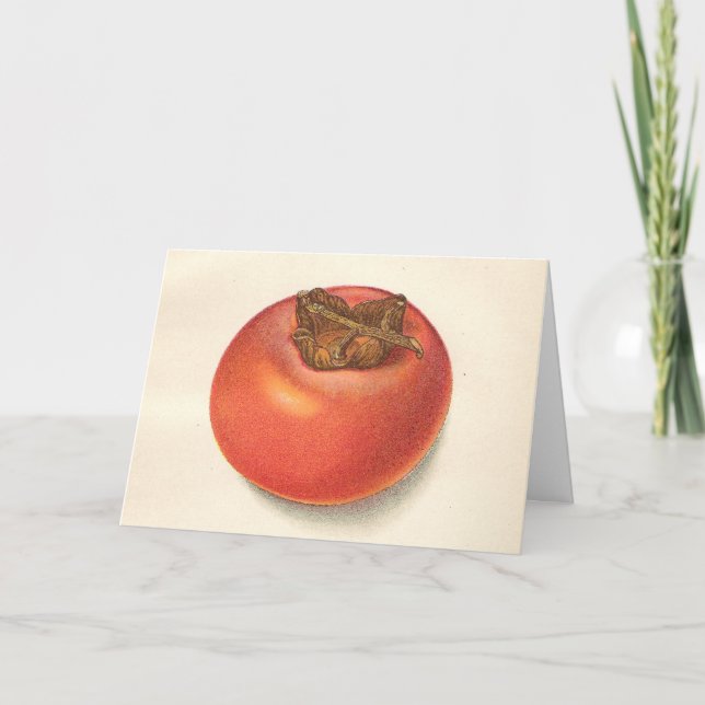 Vintage Persimmon Greeting Card (Front)