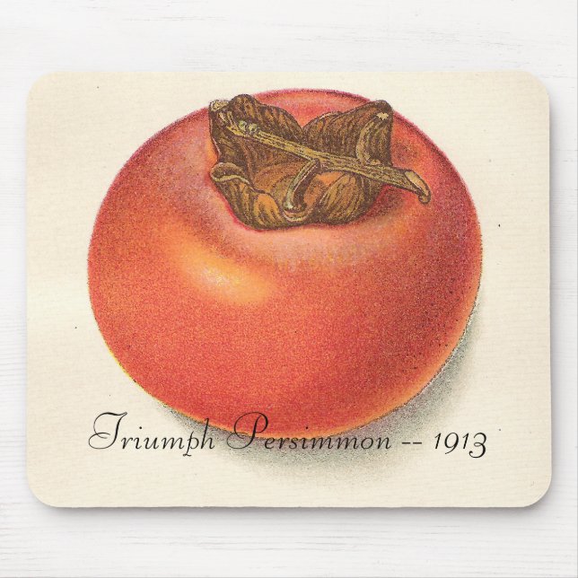 Vintage Persimmon Mousepad (Front)