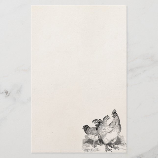 Vintage Personalized Chicken Rooster Cochin Birds Stationery (Front)