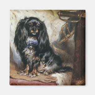 Vintage Pet Animals, Black Toy Spaniel Puppy Dog Magnet