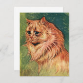 Vintage Pet Animals, Long Haired Orange Cat (Front/Back)