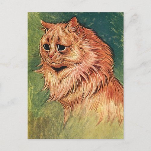 Vintage Pet Animals Long Haired Orange Cat Postcard