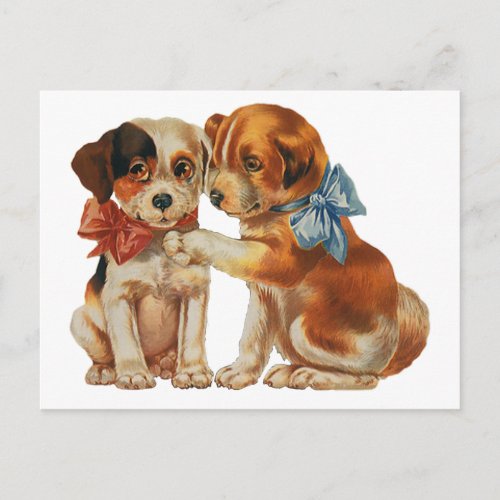 Vintage Pet Animals Puppy Love Puppies with Bows Postcard