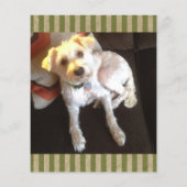 vintage pet loss sympathy card (Back)