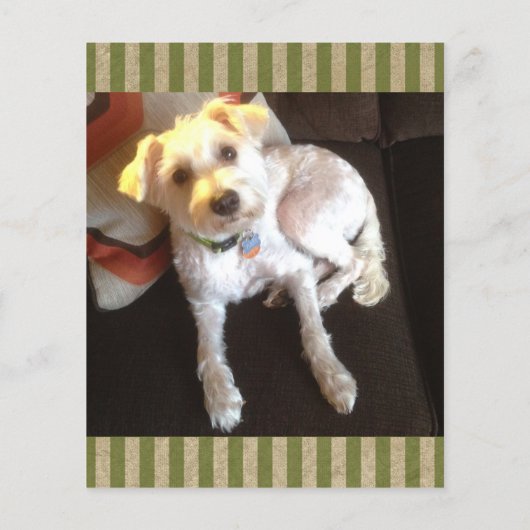 vintage pet loss sympathy card (Back)