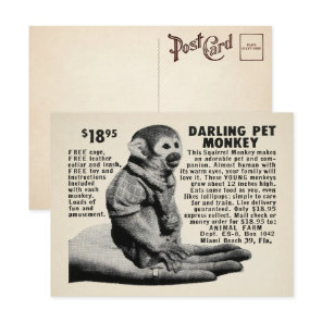 Vintage Pet Monkey Mail Order Postcard