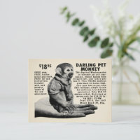 Vintage Pet Monkey Mail Order Postcard