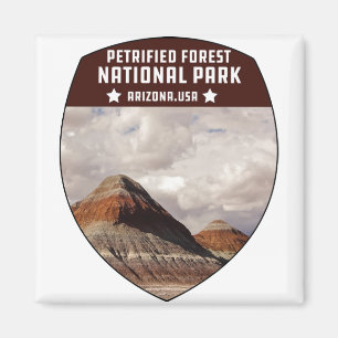 Vintage Petrified Forest National Park Arizona Magnet
