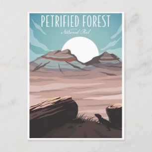 Vintage Petrified Forest National Park Arizona Postcard