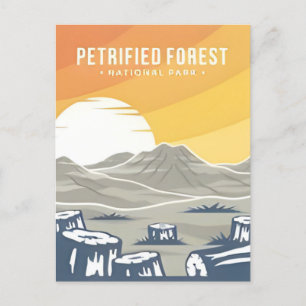 Vintage Petrified Forest National Park Arizona Postcard
