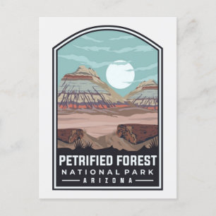 Vintage Petrified Forest National Park Arizona Postcard